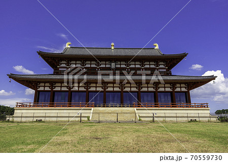平城京跡歴史公園 大極殿 奈良県奈良市 平城京跡歴史公園 大極殿 奈良県奈良市 70559730