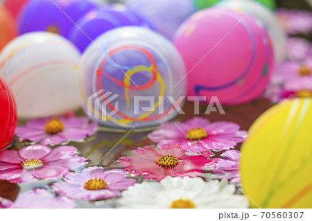 般若寺　紫陽花とコスモスの共演 70560307