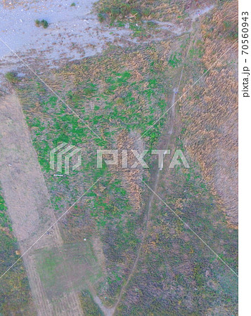 真上から見下ろした多摩川の河川敷〜ドローンで空撮（東京都日野市） 70560943