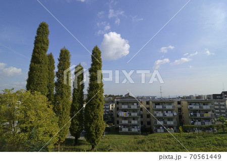 千里ニュータウン佐竹台(大阪府吹田市)の府営千里佐竹台住宅 千里ニュータウン佐竹台(大阪府吹田市)の府営千里佐竹台住宅 70561449