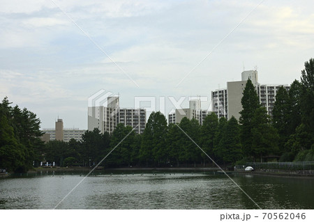 千里ニュータウン竹見台(大阪府吹田市)のUR千里竹見台団地 千里ニュータウン竹見台(大阪府吹田市)のUR千里竹見台団地 70562046