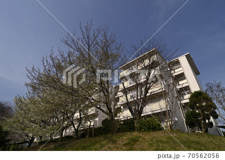 千里ニュータウン竹見台(大阪府吹田市)の府営千里竹見台住宅 千里ニュータウン竹見台(大阪府吹田市)の府営千里竹見台住宅 70562056