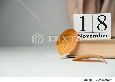 twenty-eighth day of autumn month calendar November with copy space twenty-eighth day of autumn month calendar November with copy space 70562087
