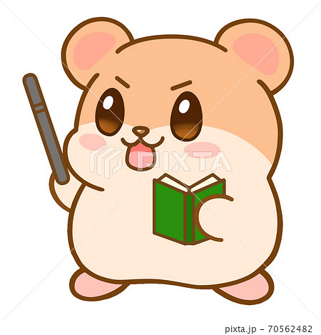 説明するキリッとしたハムスターのイラスト素材 [70562482] - PIXTA