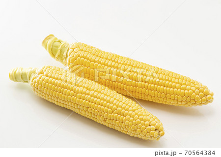 白バックのとうもろこし 白バックのとうもろこし 70564384