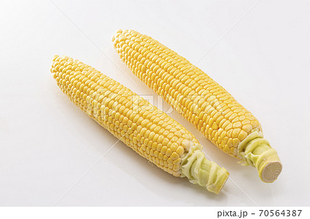 白バックのとうもろこし 70564387