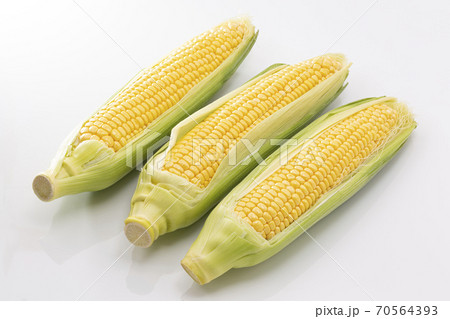 白バックのとうもろこし 70564393