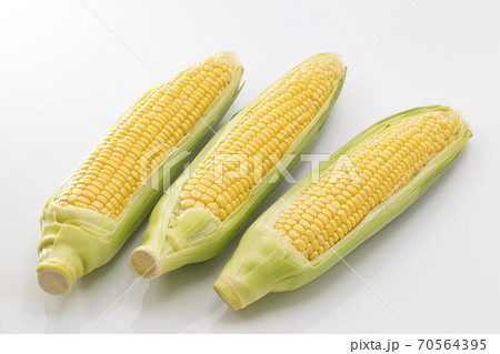 白バックのとうもろこし 70564395
