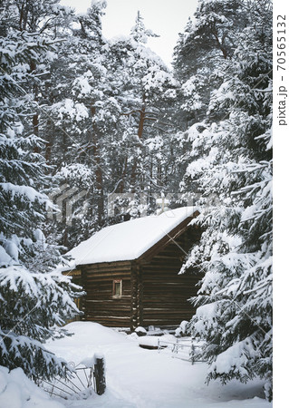 Wooden log house in a pine forest trees covered with snow in winter in Karelia, Russia. 70565132