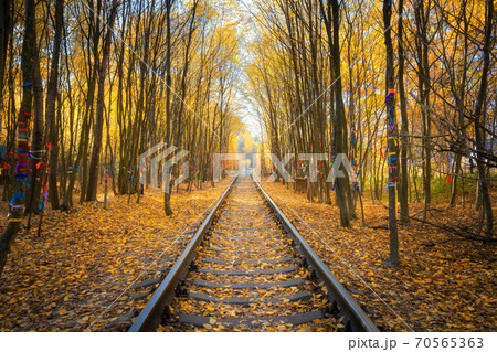 Beautiful railroad in autumn forest at sunset. Industrial 70565363