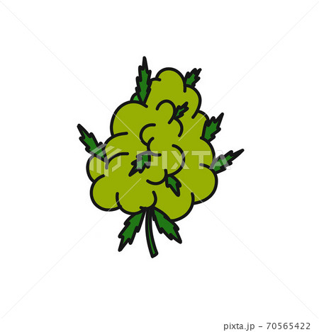 marijuana bud doodle icon, vector color 70565422