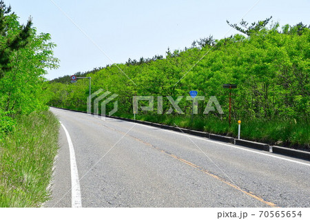 国道113号（新潟県） 70565654