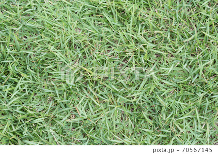 テクスチャ 壁紙 背景の写真素材