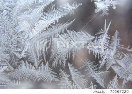 unique ice patterns on window glass 70567220