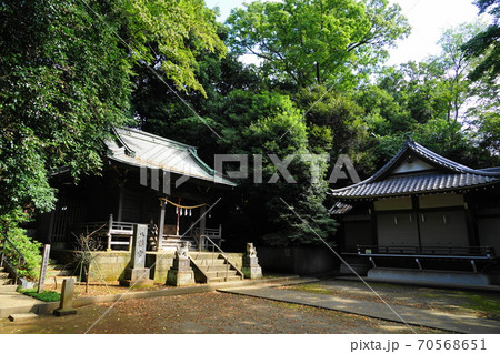 10月 世田谷192岡本八幡神社 10月 世田谷192岡本八幡神社 70568651