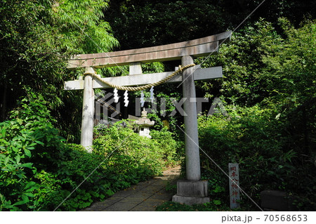 10月　世田谷191岡本八幡神社 70568653