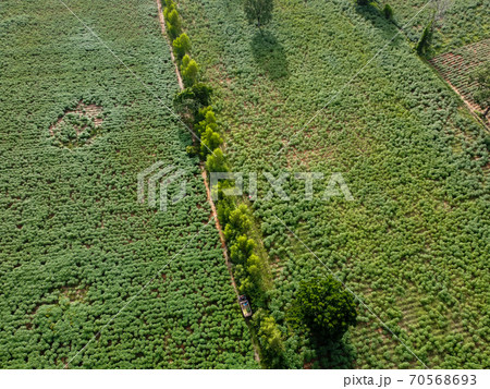 Large green farmland, Aerial photograph. 70568693