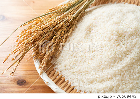 ザルに盛られたお米と稲穂 70569445