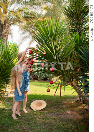 kids girls dress up palm tree with Christmas toys kids girls dress up palm tree with Christmas toys 70569473