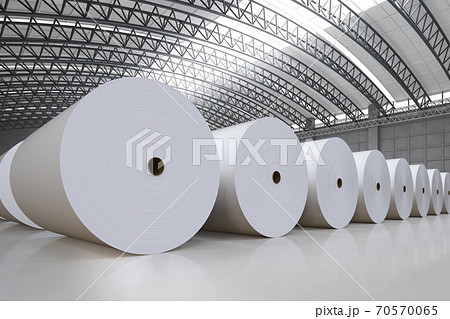 white paper rolls 70570065