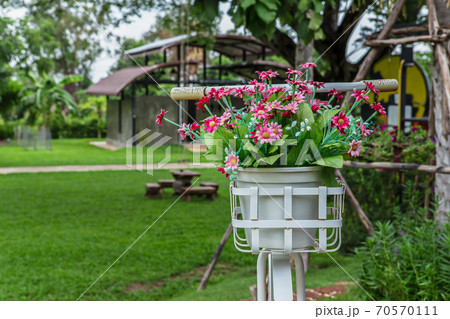 Thailand, Agricultural Field, Antique, Archival, Art 70570111