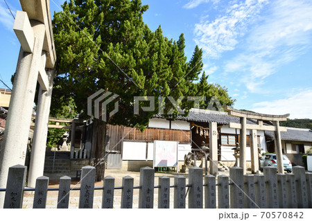 加太春日神社 70570842