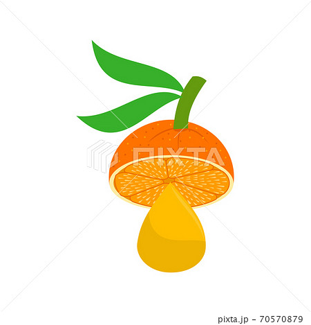 Orange Drop illustration Design Slice Part 70570879