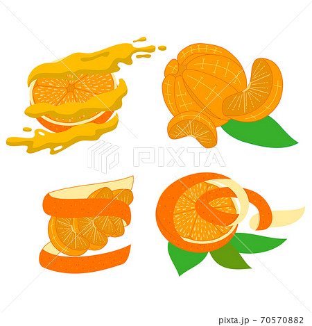Orange illustration Design Slice Piece Set 70570882
