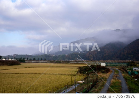 京都 亀岡の霧と山と畑 晩秋 京都 亀岡の霧と山と畑 晩秋 70570976