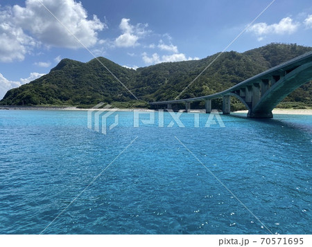 阿嘉島のケラマブルー 阿嘉島のケラマブルー 70571695