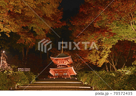 大阪 勝尾寺 紅葉ライトアップ 大阪府箕面市の写真素材