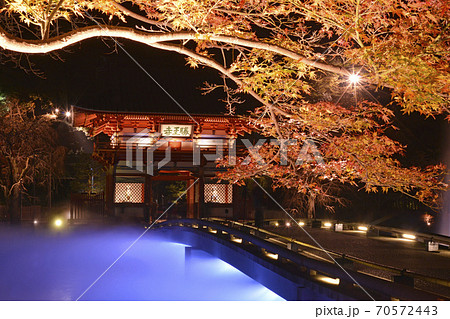 大阪 勝尾寺 紅葉ライトアップ 大阪府箕面市の写真素材 大阪 勝尾寺 紅葉ライトアップ 大阪府箕面市の写真素材