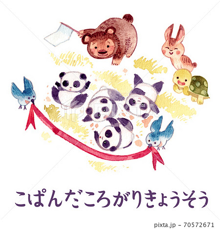 子パンダの転がり徒競走 子パンダの転がり徒競走 70572671