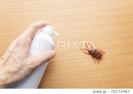 殺虫剤でゴキブリを退治するイメージの写真素材