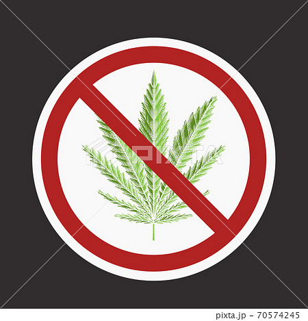 Color drawing of leaf of marijuana in the prohibition sign. Ban on cannabis. Stop smoking herbs. 70574245