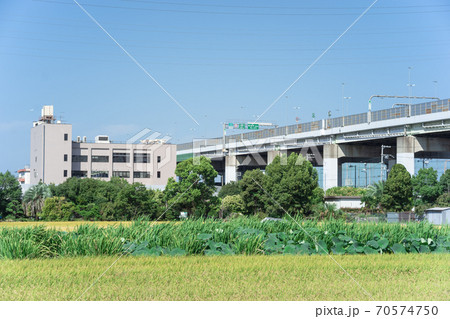 阪神高速14号松原線三宅西本線料金所付近 阪神高速14号松原線三宅西本線料金所付近 70574750