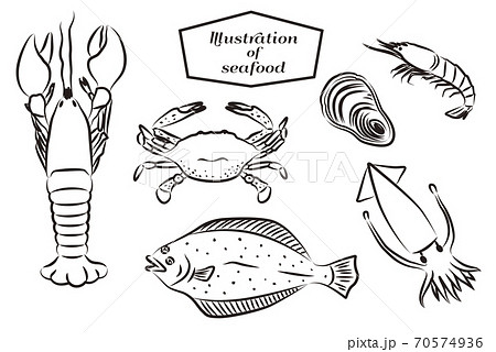 筆書き風 魚介類のイラストのイラスト素材