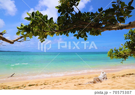 鳩間島　屋良浜 70575307