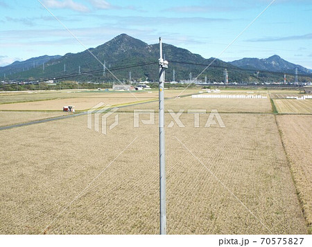 大規模農場 70575827