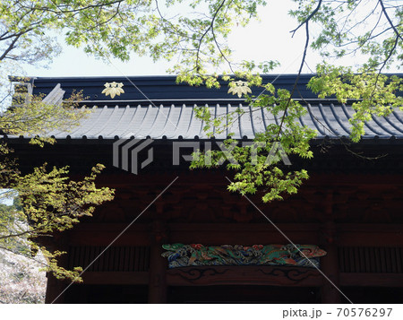 海蔵寺の桜 海蔵寺の桜 70576297