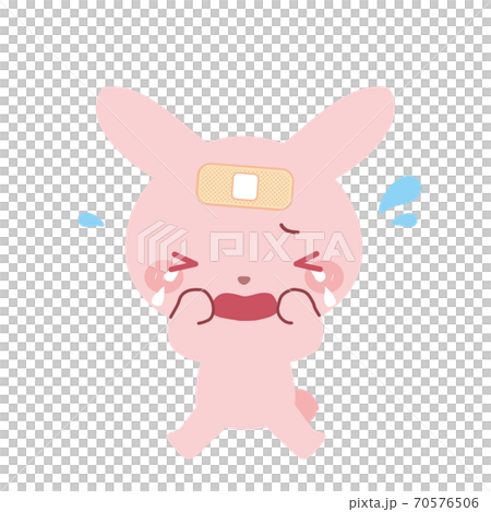 Rabbit who is injured and crying 70576506