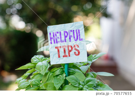 Word writing text Helpful Tips. Business concept 70577655