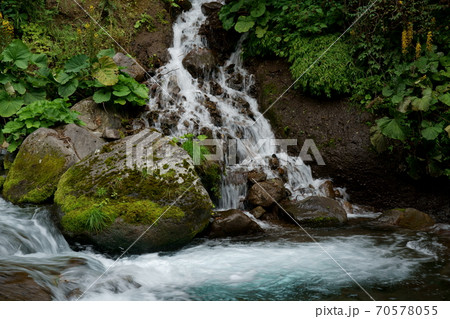 水の流れが美しい吐竜の滝 70578055