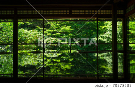 京都　瑠璃光院の新緑 70578585