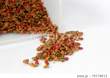 Heap of cat food from plastic box on the white floor. Cat food is food for consumption by cats. Heap of cat food from plastic box on the white floor. Cat food is food for consumption by cats. 70578615