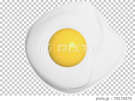 Vector real illustration of shiny fresh eggs, no sample characters, transparent background 70578870