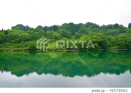 高浪の池（新潟県） 70579502