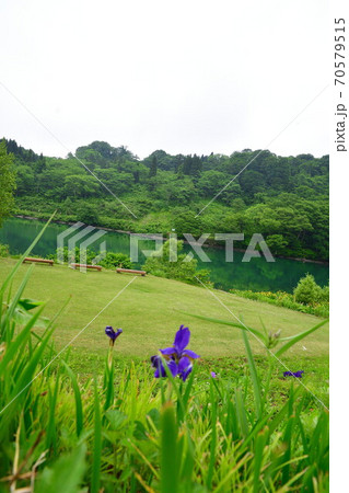 高浪の池キャンプ場（新潟県） 70579515
