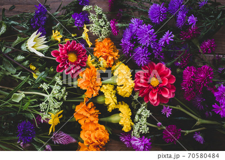 庭の花たち　花の背景素材 70580484