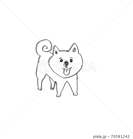 舌を出して笑って立っている白い芝犬のイラスト素材